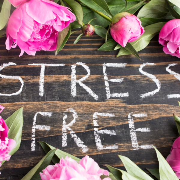 5 Tips for a Stress-Free Season