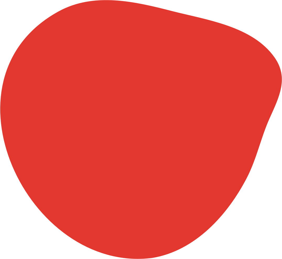 NICHS logo blob shape