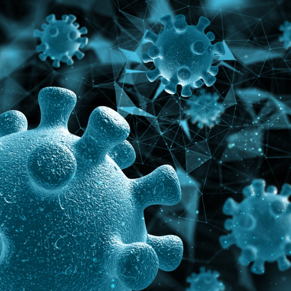 NICHS welcomes funding for new Covid services